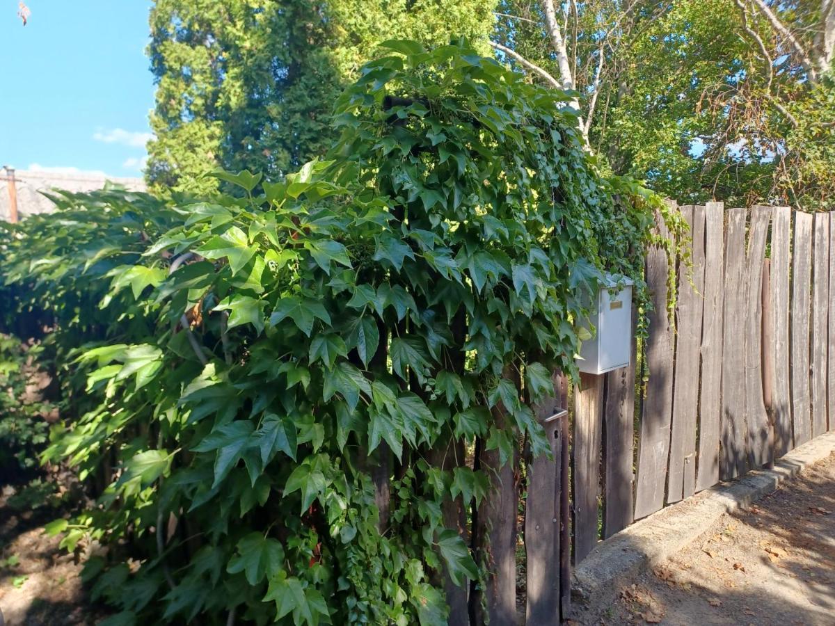Páratlan Panoráma Kékduna házikó Apartamento Tahitófalu Exterior foto